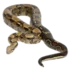 Tabela do Jogo do Bicho - Cobra